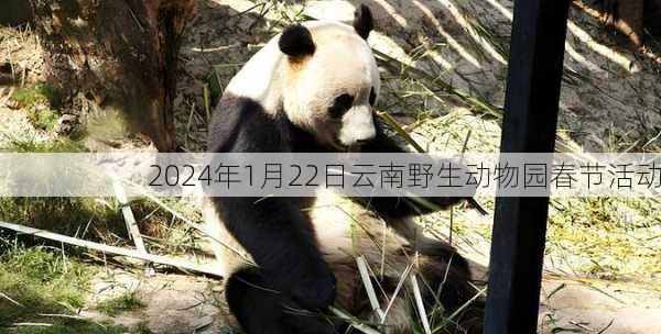 2024年1月22日云南野生动物园春节活动