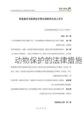 动物保护的法律措施