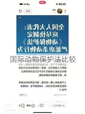 国际动物保护法比较
