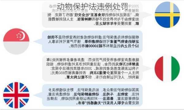 动物保护法违例处罚