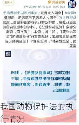 我国动物保护法的执行情况