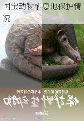 国宝动物栖息地保护情况
