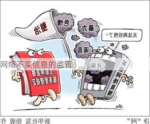 网络不实信息的监管