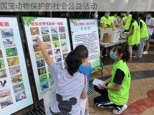 国宝动物保护的社会公益活动