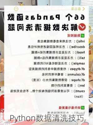 Python数据清洗技巧