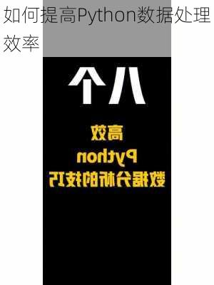 如何提高Python数据处理效率