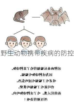 野生动物携带疾病的防控
