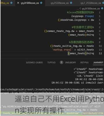 逼迫自己不用Excel用Python实现所有操作