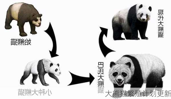 大熊猫繁殖计划更新