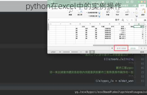 python在excel中的实例操作