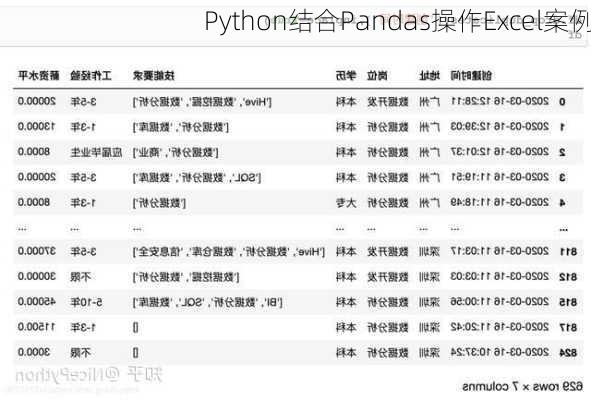 Python结合Pandas操作Excel案例