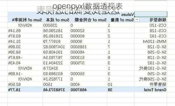 openpyxl数据透视表