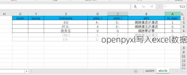 openpyxl写入excel数据