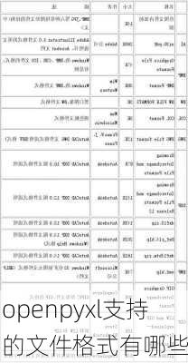 openpyxl支持的文件格式有哪些