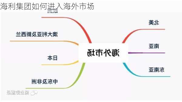 海利集团如何进入海外市场