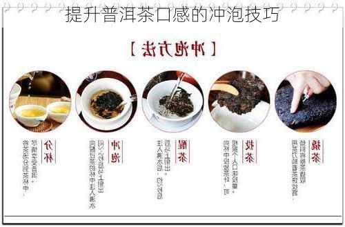 提升普洱茶口感的冲泡技巧