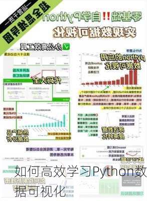 如何高效学习Python数据可视化