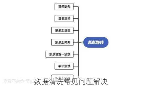数据清洗常见问题解决