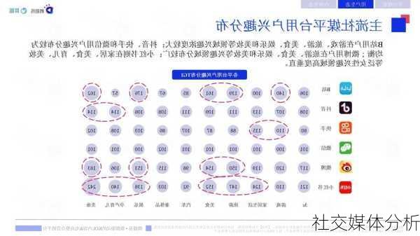 社交媒体分析