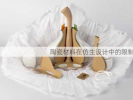 陶瓷材料在仿生设计中的限制