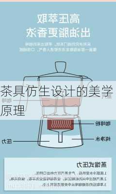 茶具仿生设计的美学原理