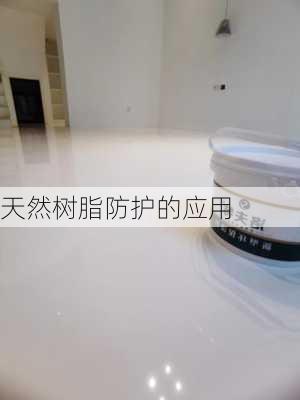 天然树脂防护的应用
