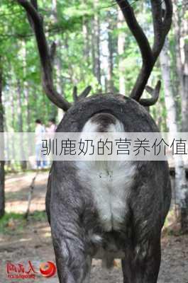 驯鹿奶的营养价值