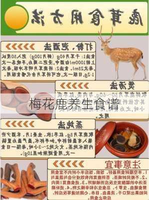 梅花鹿养生食谱
