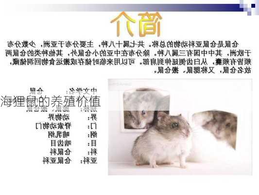 海狸鼠的养殖价值