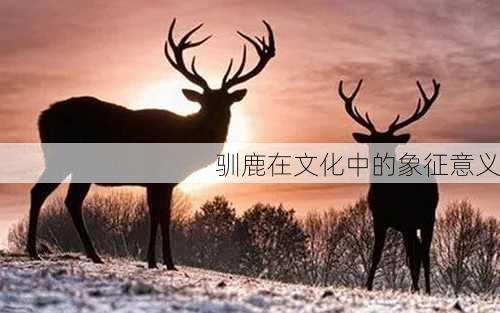 驯鹿在文化中的象征意义