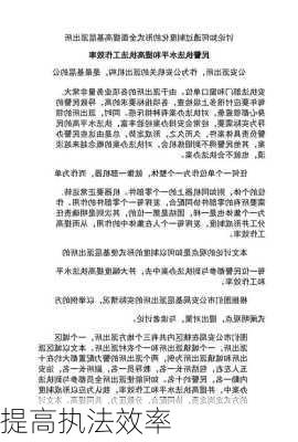 提高执法效率
