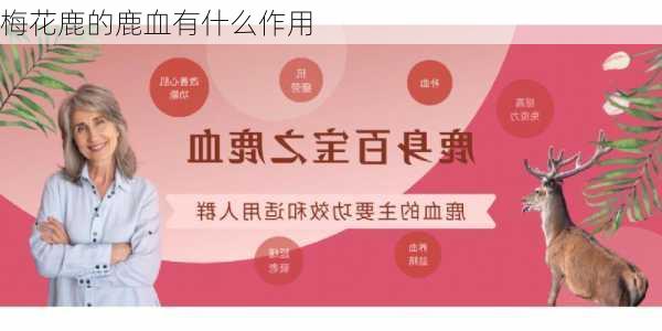 梅花鹿的鹿血有什么作用