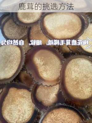 鹿茸的挑选方法