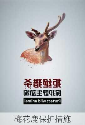 梅花鹿保护措施