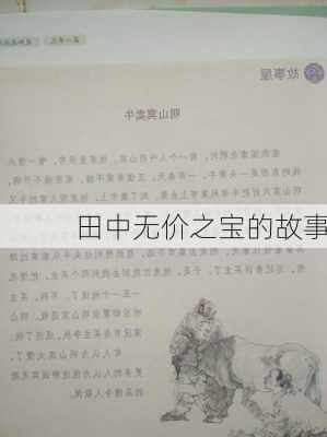 田中无价之宝的故事