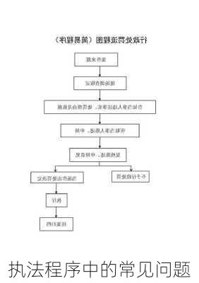 执法程序中的常见问题