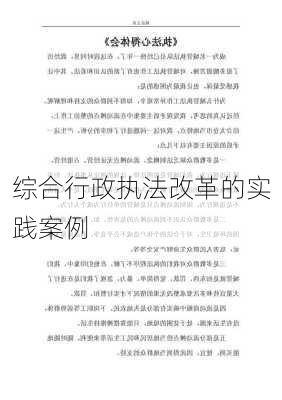 综合行政执法改革的实践案例