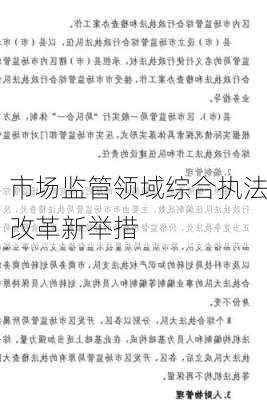 市场监管领域综合执法改革新举措