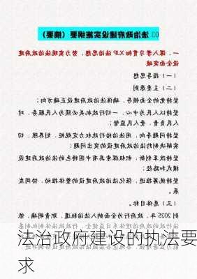 法治政府建设的执法要求