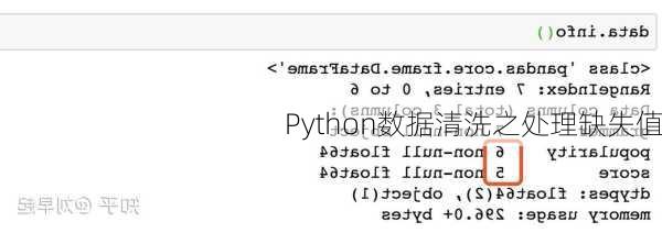 Python数据清洗之处理缺失值