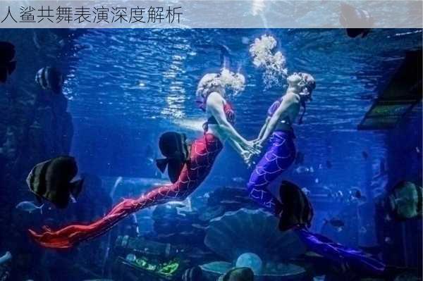人鲨共舞表演深度解析