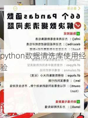 python数据清洗库使用经验
