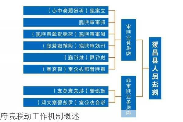 府院联动工作机制概述