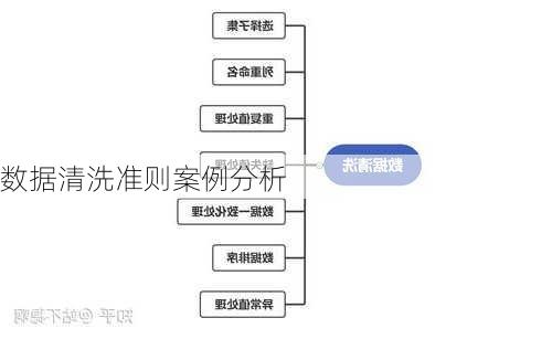 数据清洗准则案例分析