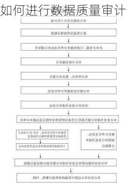 如何进行数据质量审计