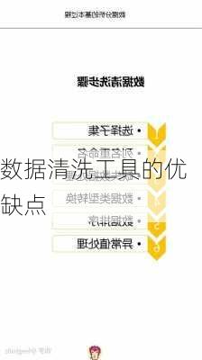 数据清洗工具的优缺点