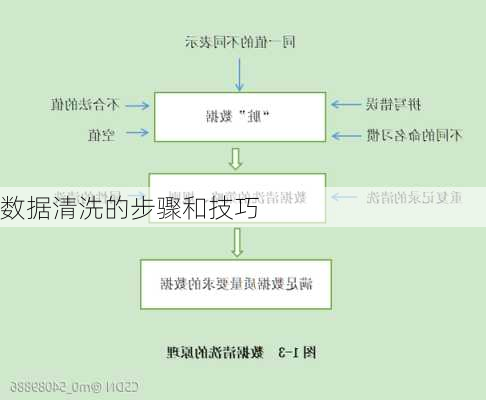 数据清洗的步骤和技巧