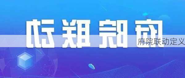 府院联动定义