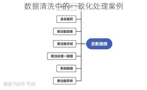 数据清洗中的一致化处理案例