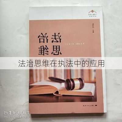 法治思维在执法中的应用